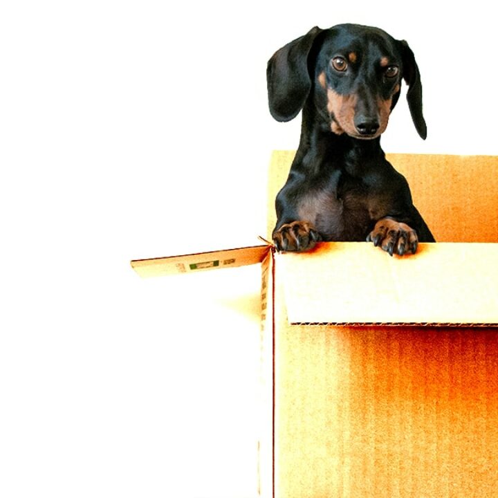 Die novadex GmbH zieht um nach Bietigheim-Bissingen