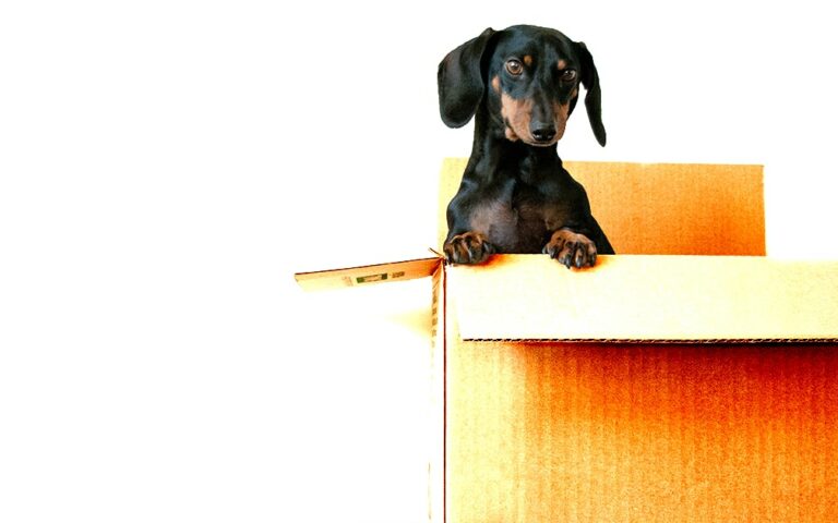 Die novadex GmbH zieht um nach Bietigheim-Bissingen