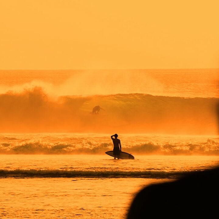 Markenführung im „New Normal“