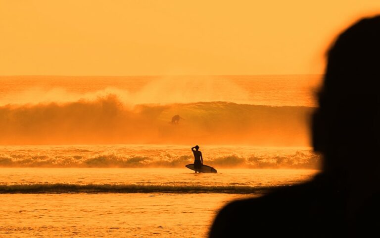 Markenführung im „New Normal“
